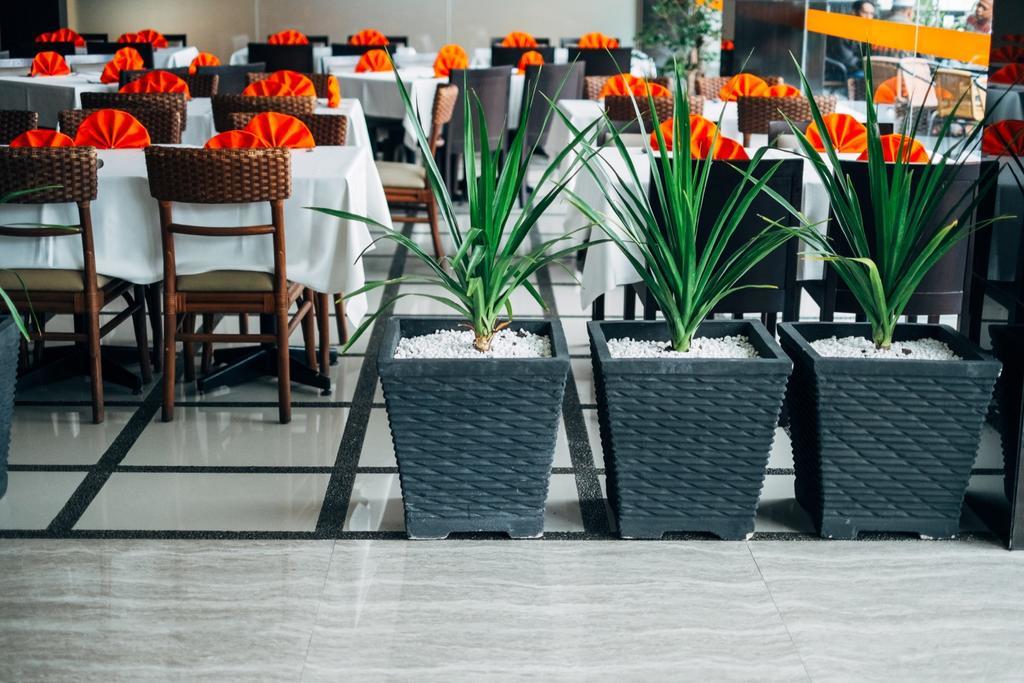 Alpha Hotel Pekanbaru Exterior photo